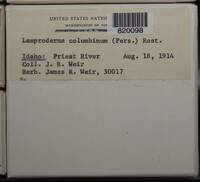 Image Associated With the Occurence
